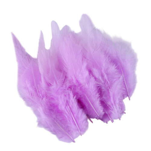 Lot de 100 plumes naturelles pour la conception de-Violet clair