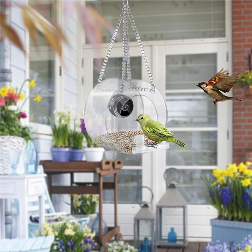 Bird Feeder with Camera, Bird Watching Camera Wirelessly Automatically Captures Bird Video and Motion Detection 2
