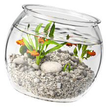 Round Fish Bowl Scratch Resistant Centerpieces Desktop Fish-M