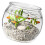 Round Fish Bowl Scratch Resistant Centerpieces Desktop Fish-M 1