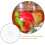 20Pcs Placas De Para Fermentação Vegetal Plástico 5