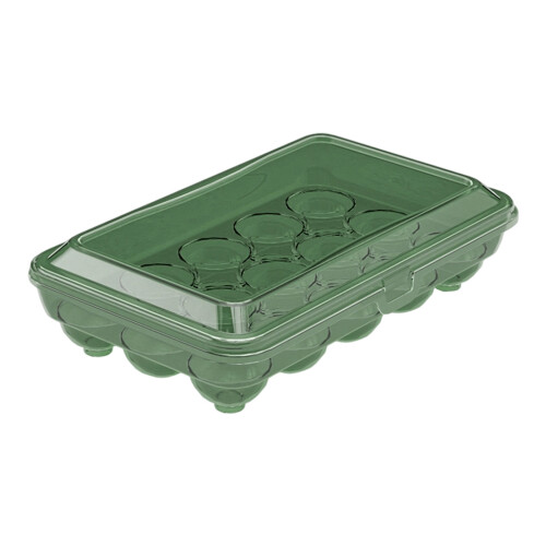 Multipurpose Kitchen Eggs Container with 10/15 Grids-Green 15