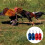 2er-Pack flexibler Geflügelschutz, langlebige, dehnbare 5