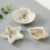 Natural Look White Conches Shape Plate Handmade-Shell C 3