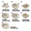 Natural Look White Conches Shape Plate Handmade-Shell C 4