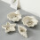 Natural Look White Conches Shape Plate Handmade-Shell C 5