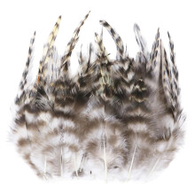 Pak van 100 handgeplukte kippenveren voor het-natuurlijke kleur