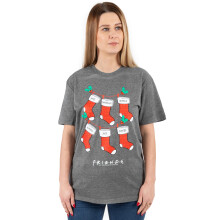 (XX-Large) Friends Short Sleeved T-Shirt (Womens Grey)