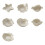 Artistic White Sea Shell Design Ceramic Plate Great For-Shell A 2