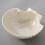 Artistic White Sea Shell Design Ceramic Plate Great For-Shell A 7