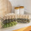 Multipurpose Kitchen Eggs Container with 10/15 Grids-Green 15 6