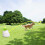 Dog Automatic  Launcher for Small or Medium Dogs, Interactive Dog  Throwing Machine,3 Balls Included.US Plug 3