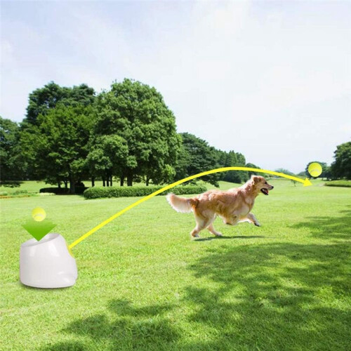 Dog Automatic  Launcher for Small or Medium Dogs, Interactive Dog  Throwing Machine,3 Balls Included.US Plug 2