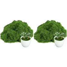 2X Fake Moss for Plants Indoor, for Potted Fairy Garden DIY Model Making Walls Glass Containers Home Decor-3.5 OZ