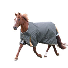 (7' 5", Green) Highlander Plus Combo Horse Turnout Rug