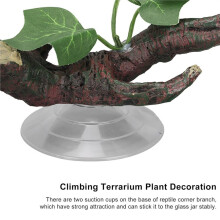 Reptile Corner Branch with Suction Cup for Climbing and Decoration