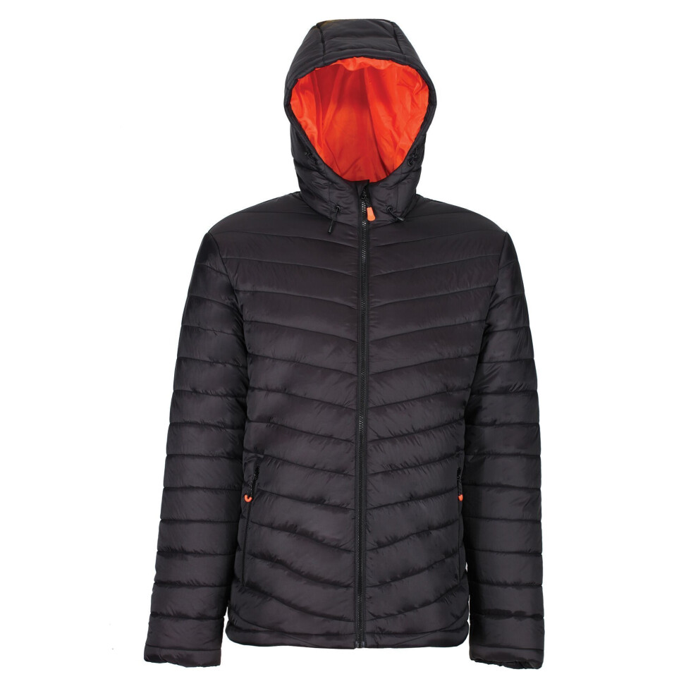 Regatta (S, ) Mens Thermogen P'cell Warmloft Jacket Black