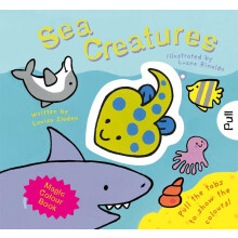 Sea Creatures (A Magic Colour Book)