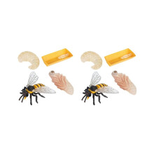 8er-Pack Insektenfiguren – Lebenszyklus der Honigbiene – Realistische Insektenfiguren – Spielzeug –