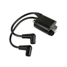 Hochspannungszündspulenmodul 72866G01 72866-G01 EPIGC104 für EZGO EZ-GO E-Z-GO Golfwagen ab 2003