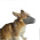 (M) 3pcs Breathable Anti Dust Smoke Dog Muzzle Mask Set 2025 1