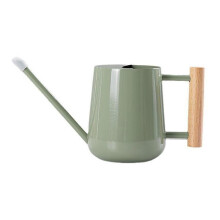 Stainless Steel Watering Can 1000ml for Indoor Plant And Outdoor Garden with Long Spout Green