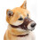 For 2024 Brown Soft Leather Adjustable Dog Muzzle - for Small, Medium And Large Size Dogs S, Pet Accessory 1