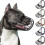 amstaff xx model metal basket muzzle for pitbull large dogs 2
