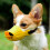 Soft Silicone Dog Muzzle for Small to Medium Sized Dogs, Featuring Adjustable Straps to Effectively Prevent Biting and Chewing 1