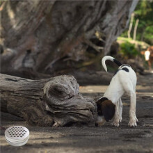 18 Pack Dog Scent Work Tins Training Kit Nose Work Magnetic Dots Scent Work Containers for Dogs Training Metal Box