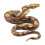 Simulation Python Solid Wildlife Model Snake Children Toy Collection Ornament 1
