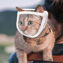 Cat Muzzle, Kitten Muzzles Mask, Cat Face Guard for Nail Trimming And Bathing, Pet Muzzle, Cat Mouth Cover
