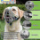 (2, Black) 2025 Dog Muzzle, Silicone Basket Muzzle For Small Medium Large Dogs, Soft Cage Muzzle Prevent Biting Chewing, Allow Drinking Panting, TA 5