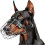 Metal Doberman Muzzle for Large Sized Dog - Cage Muzzles for Barking and Prevent 1