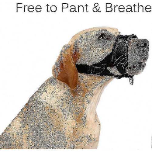(L, Black) Durable Muzzle for Large Dogs, Soft Nylon Training Collar with Breathable Design 2