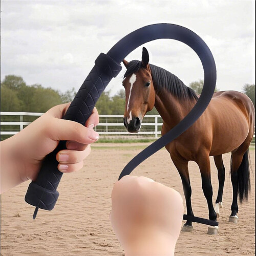 Lunging Whip for Horses, Silicone, Comfortable Grip, Ideal for Training and Stage Performances 2