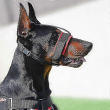 Pet Muzzle Dog Muzzle Adjustable Anti-biting Nose Hair Mask Traction Set Dog Muzzle Dog Training Belt for Middle Large Dogs f54 2025