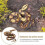 Simulation Python Solid Wildlife Model Snake Children Toy Collection Ornament 4
