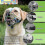 (4, Black) Dog Muzzle, Silicone Basket Muzzle For Small Medium Large Dogs, Soft Cage Muzzle Prevent Biting Chewing, Allow Drinking Panting 5