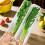 Refrigerator Fresh-Keeping Storage Box, Fresh-Keeping Artifact,Small Food Preservation Boxes 1