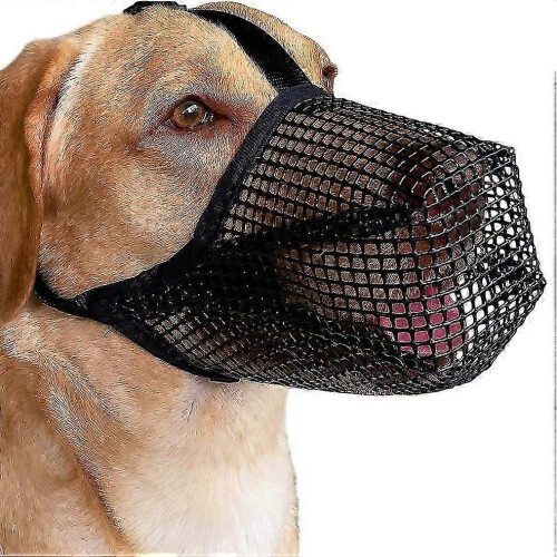 2026 Best Dog muzzle with rounded mesh, breathable muzzle for small, medium and large dogs, prevents eating, biting and chewing (M, Black)