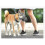 (L) 2025 Dog Muzzle Breathable Basket Muzzle 1