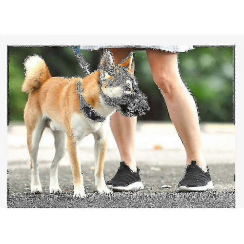 (L) 2025 Dog Muzzle Breathable Basket Muzzle