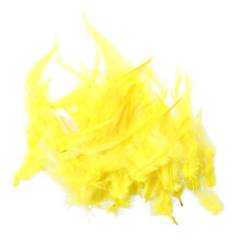 50 tinti decorazione Giallo della gallo Piume 10 - 15 cm