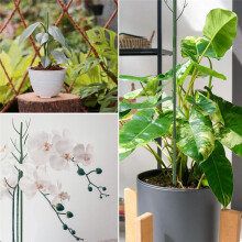 Monstera Plant Support Clips Ties Set,Plant Support Stakes Moss Pole for Indoor Plants, Plant Stakes for Climbing Plant