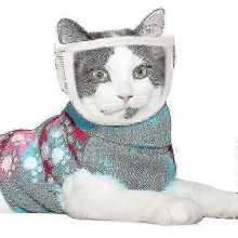 Cat Muzzles Breathable Mesh Muzzles Prevent Cats From Biting And Chewing Anti Bite Anti Meow Cat Grooming Restraint Bags