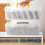 2 Items Strong half Clear Safekeeping Bin For Game And-Black 5