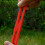 Aangepaste rubberen spanband, verpakkingsband,-Rood kort 5