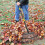 Professional Design Expandable Metal Rakes with Ergonomic Handle 5