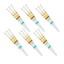 1000 Streifen Urinteststreifen 10 Parameter